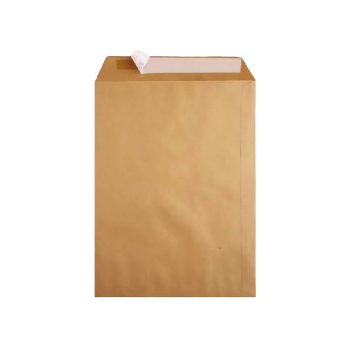Oyal zarf torba formula 100 gr 21x28 (natura)