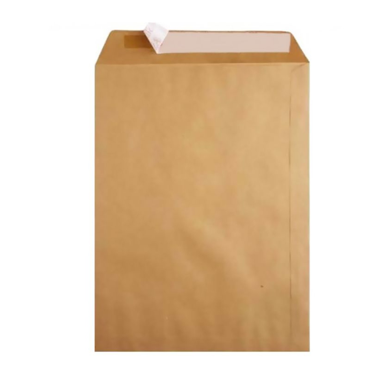 Oyal zarf torba formula 100 gr 32x42 (natura)