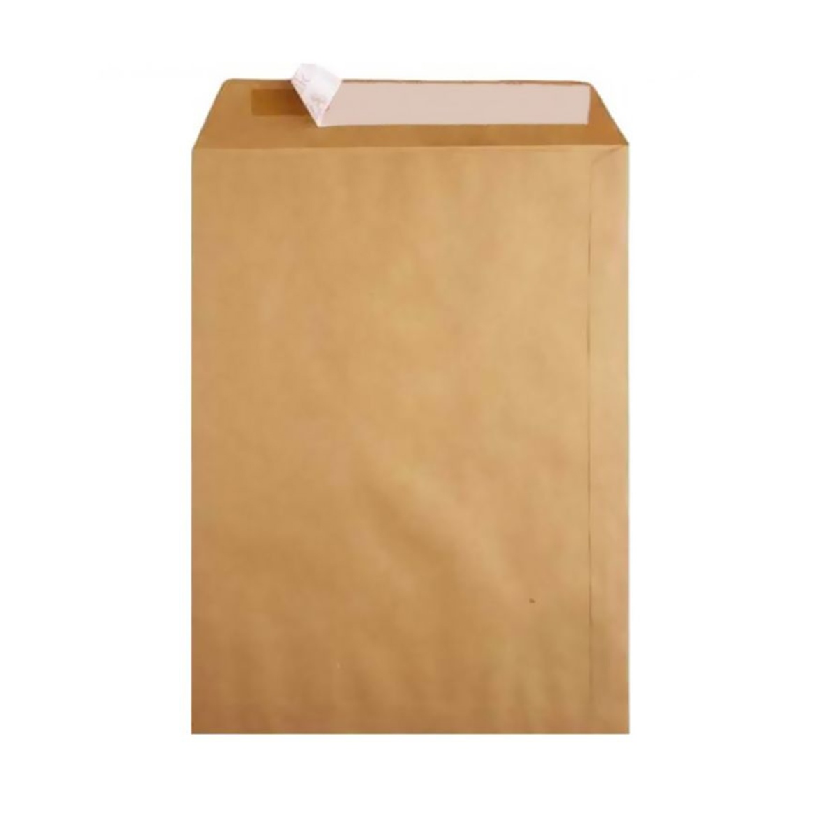 Oyal zarf torba formula 100 gr 26x35 (natura)
