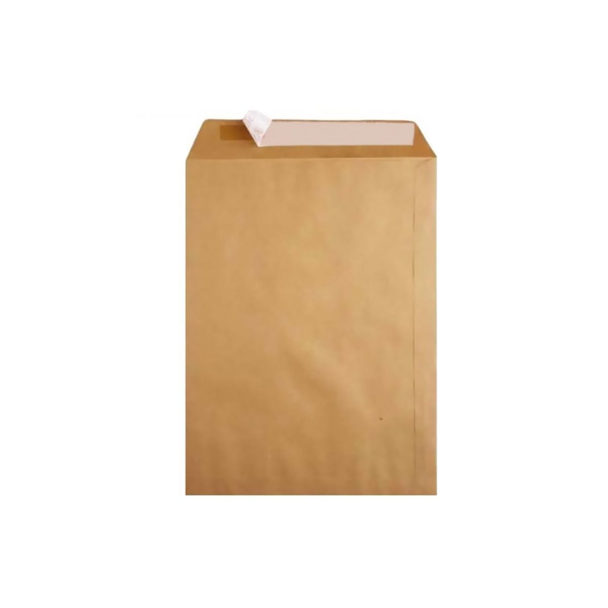 Oyal zarf torba formula 100 gr 13x17 (natura)
