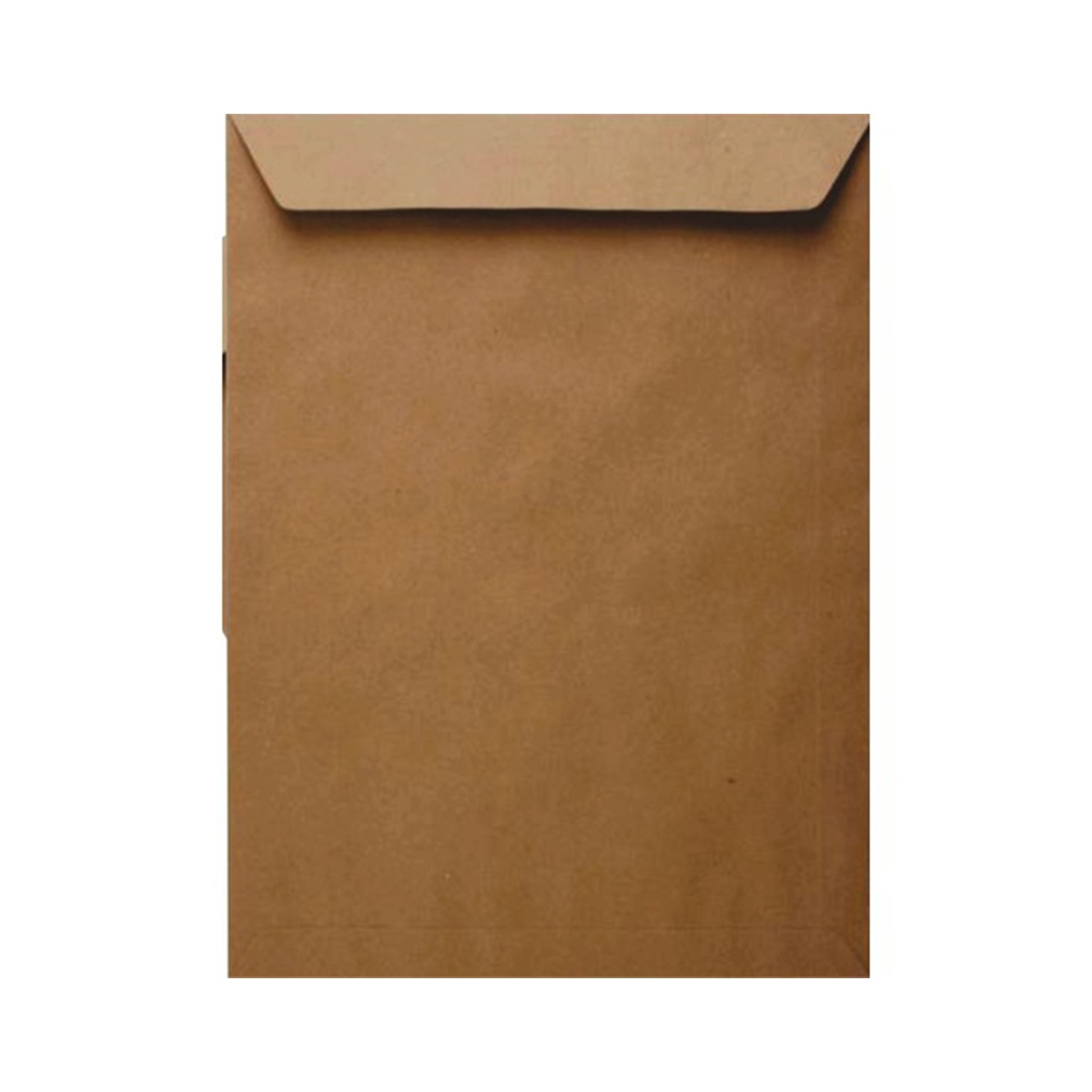 Oyal zarf torba kraft 125 gr 24x32 (çaycuma)