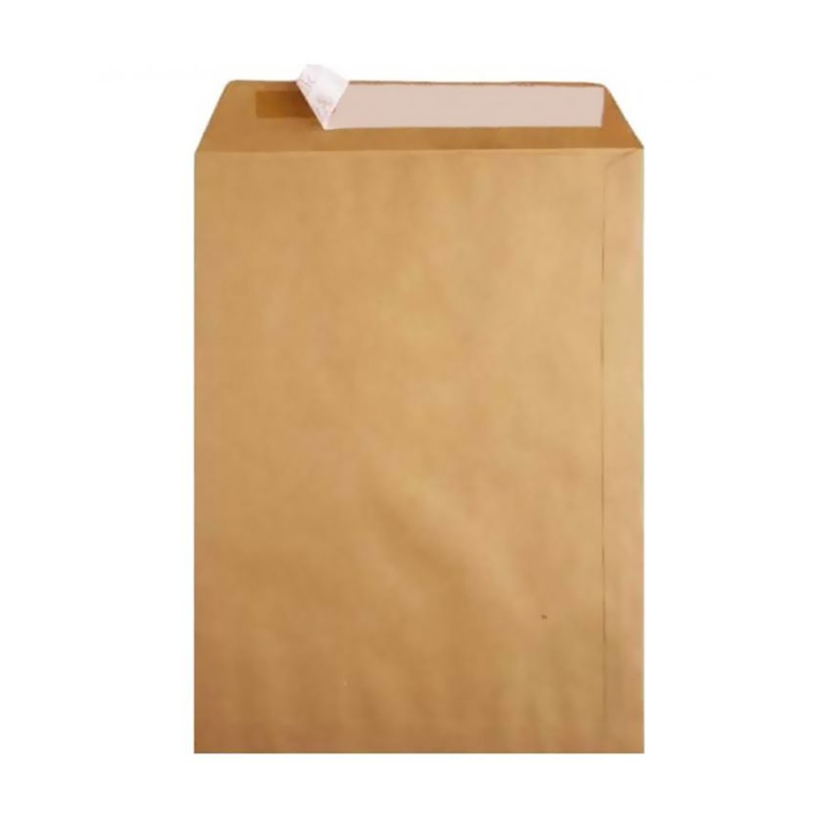 Oyal zarf torba formula 100 gr 30x40 (natura)