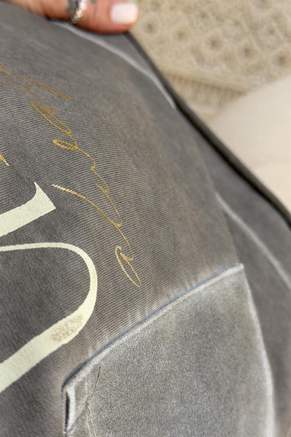 Cep Detaylı Gold Yazılı Yıkamalı Kapüşonlu Sweet Vizon Renk