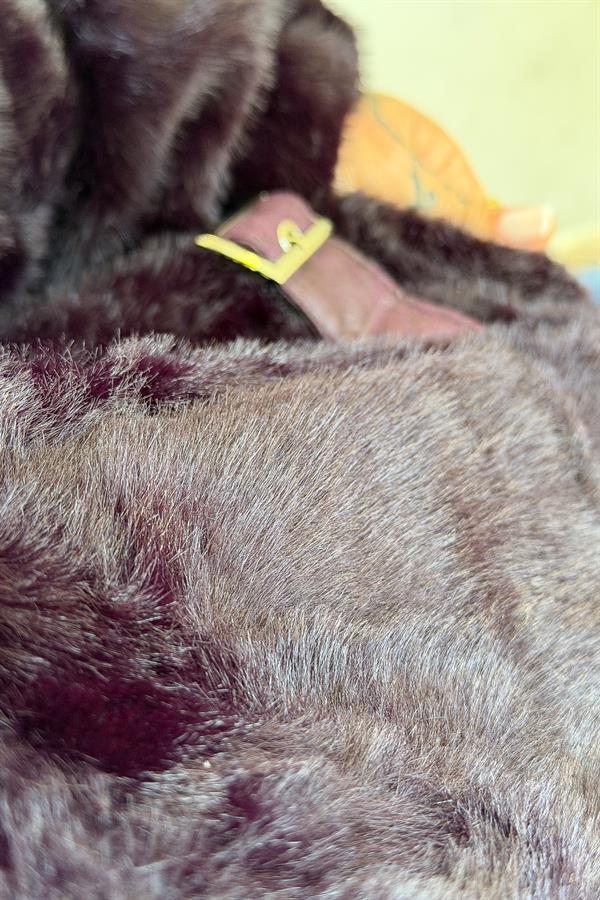 Kapüşonlu Angora Mont Mürdüm Renk