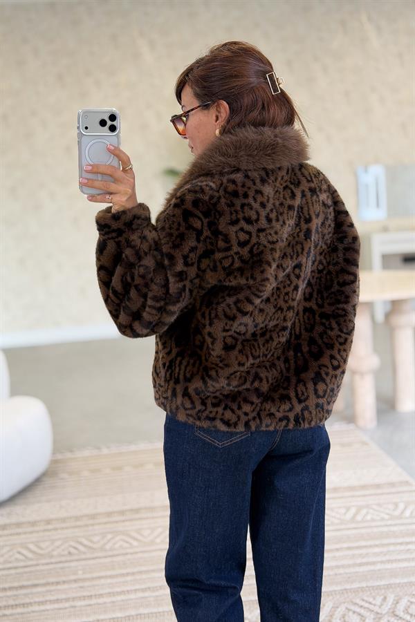 Yakası Kürklü Leopar Desen Kısa Kürk Kahverengi Renk