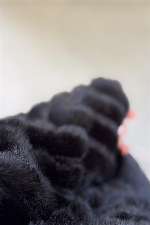 Zikzak Çizgili Kuşaklı Angora Kaban Siyah Renk