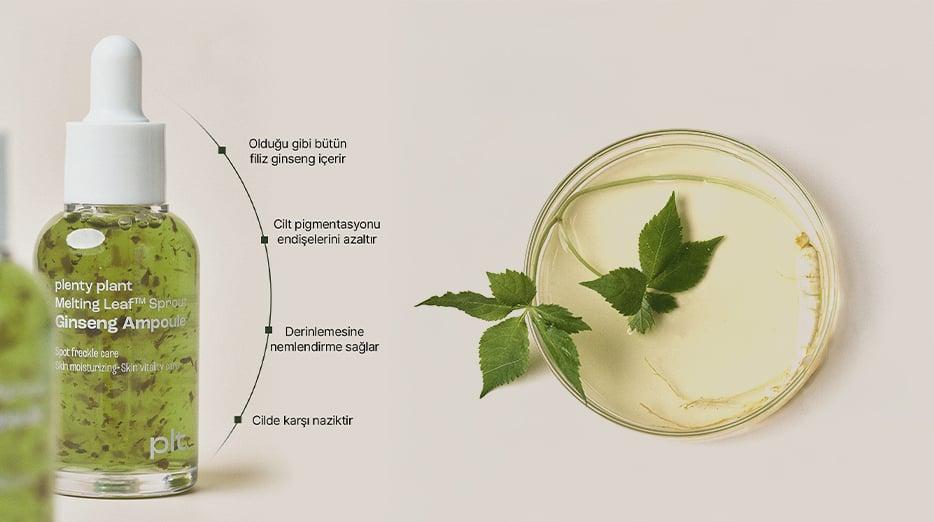 Ginseng ile Anti-Aging Bakım: Doğal Gençlik Etkisi