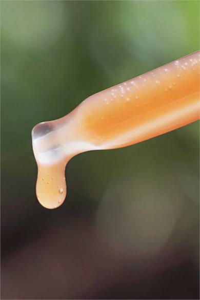 Isntree Green Tea Fresh Serum 50 ml (Sebum Bakımı ve Yağ/Nem Dengesi Sağlayan Gerçek Yeşil Çaylı Serum)