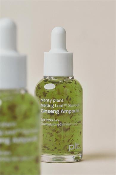 Plenty Plant Melting Leaf Sprout Ginseng Ampoule