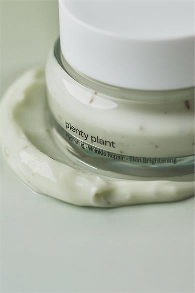 Plenty Plant Melting Leaf Sprout Ginseng Cream