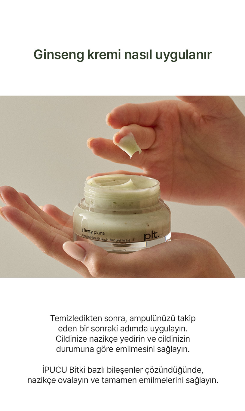 Plenty Plant ginseng serisi model ile toner ampul krem ve sleeping pack lifestyle kompozisyonu