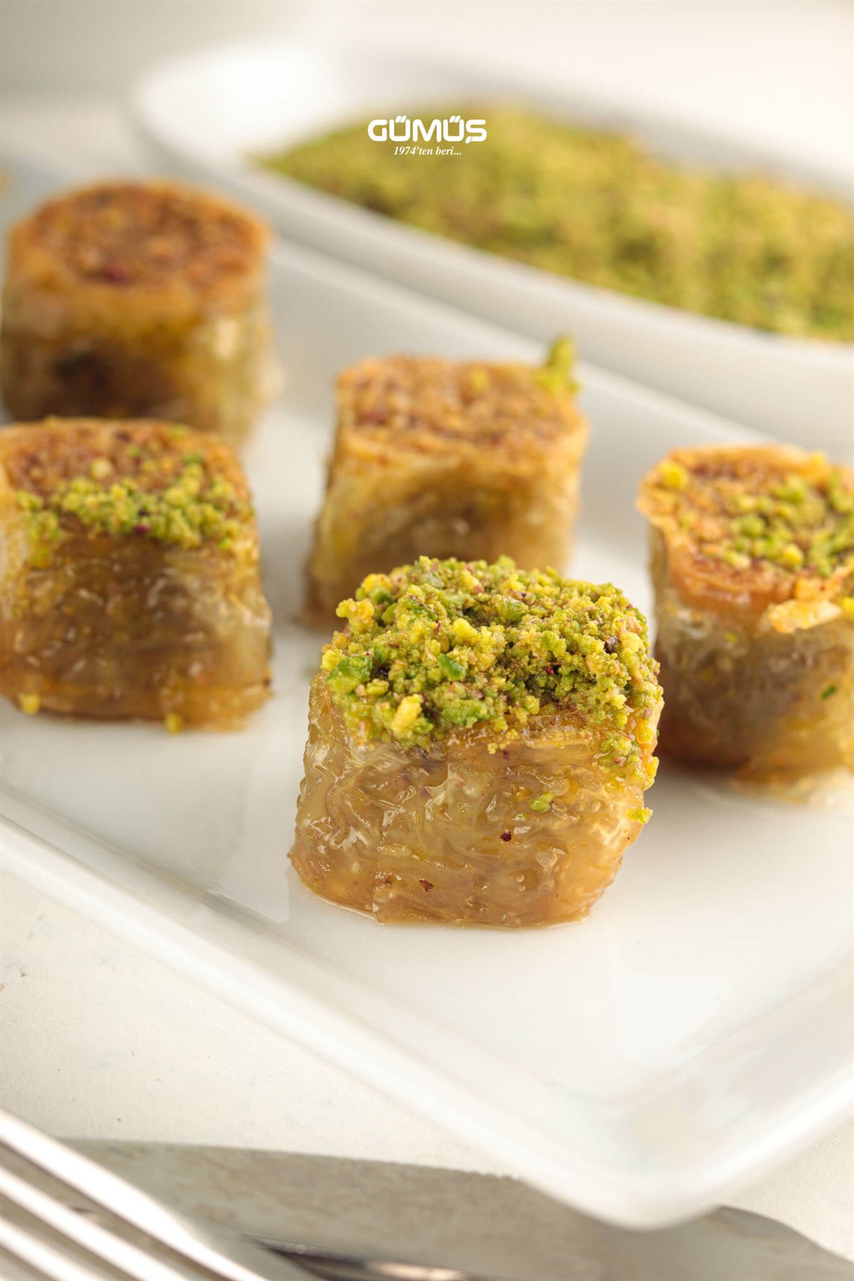 Fıstıklı Padişah Kg