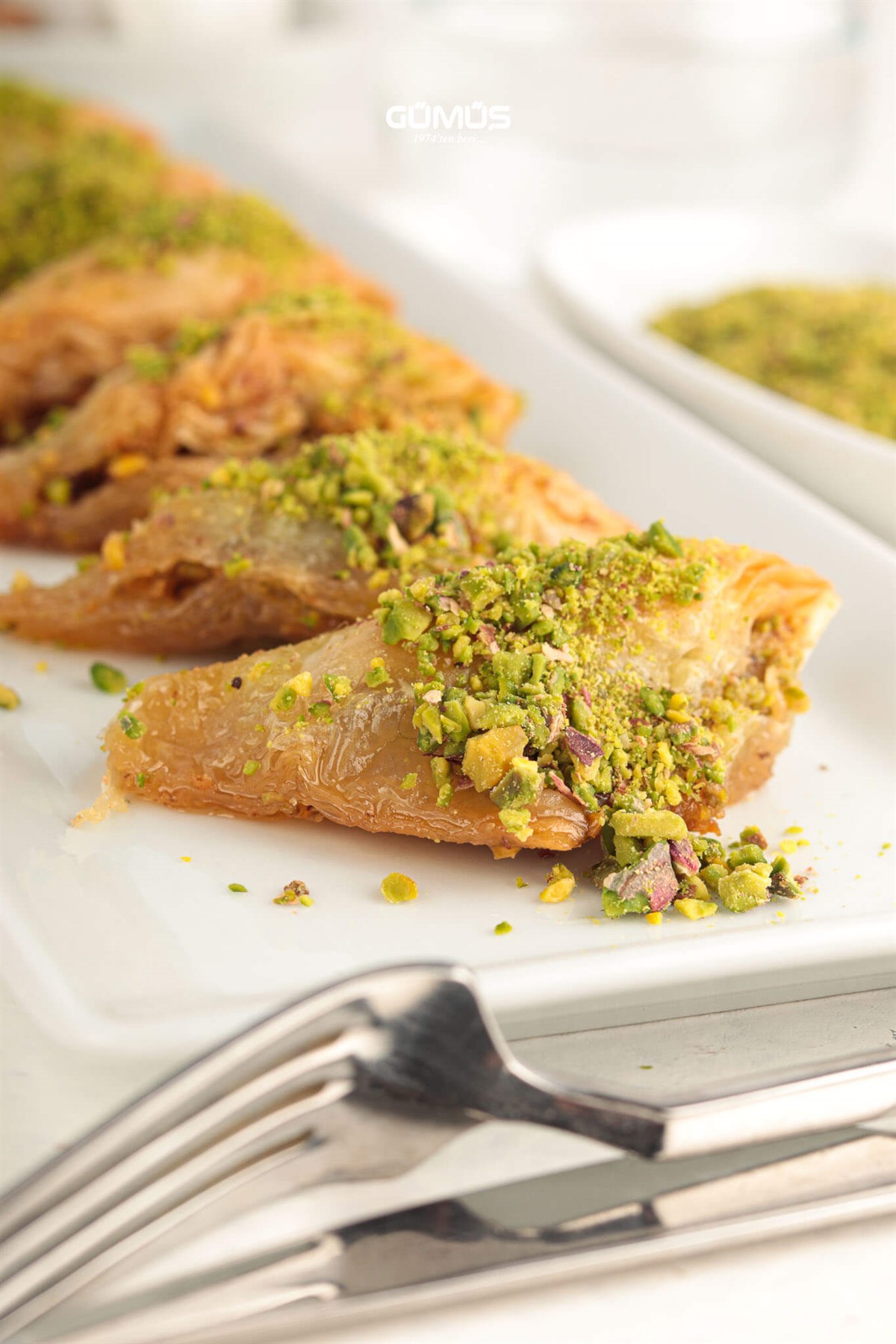 Fıstıklı Şöbiyet Kg