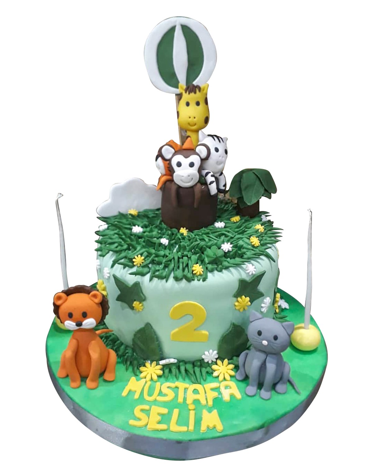 Hayvanlar Alemi Tasarım Pasta