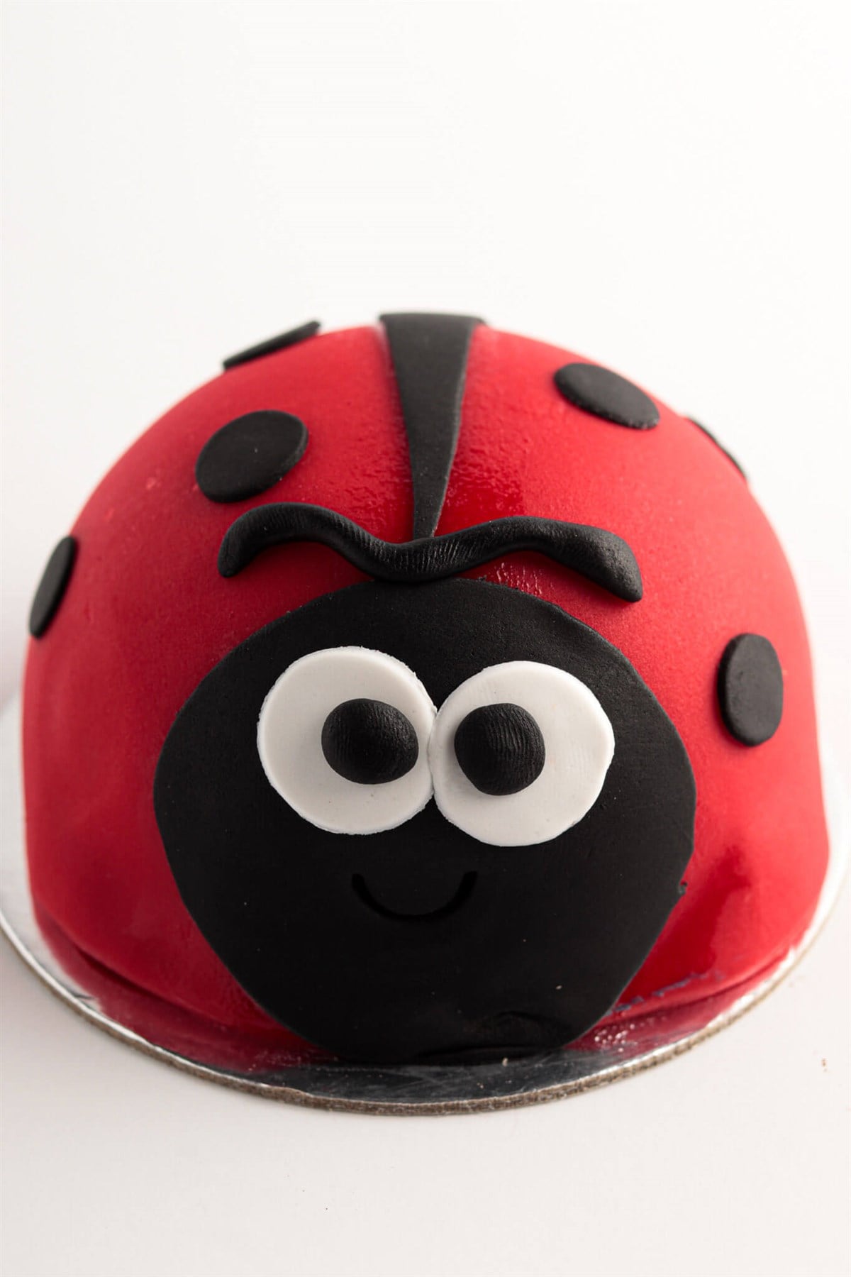 Uğur Böceği Adet Pasta