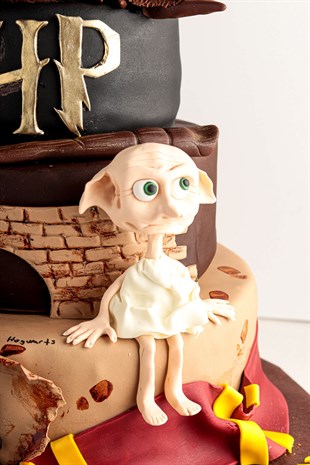 Harry Potter Özel Tasarım Pasta