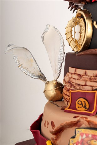 Harry Potter Özel Tasarım Pasta