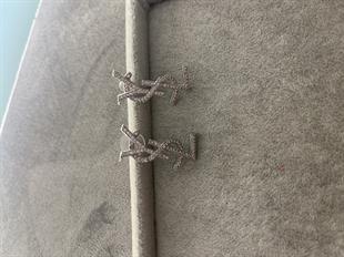 Lux Kalite Silver Küpe