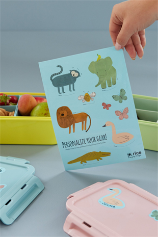 Rice Stickers - Dinosaur Theme, STICK-LUNCHG