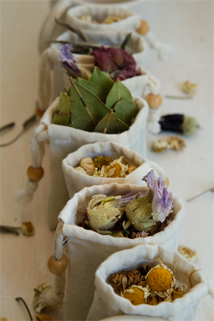 Petarya Washable Brewing Pouch Set of 3