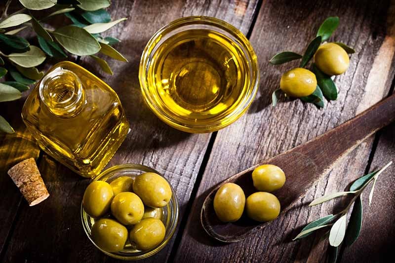 Oleik Asit Nedir? Faydaları Nelerdir?