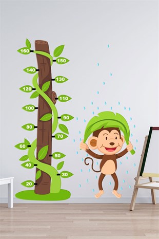Haylaz Maymun Yağmurda Islanıyor Boy Ölçer Cetvel