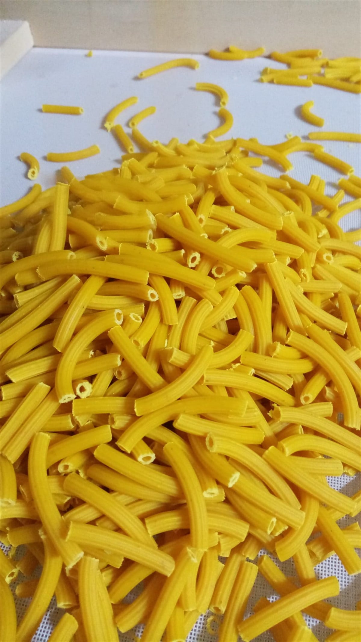 İLİKLİ SEBZELİ SEDANİNİ (BORU) MAKARNA  500 GR