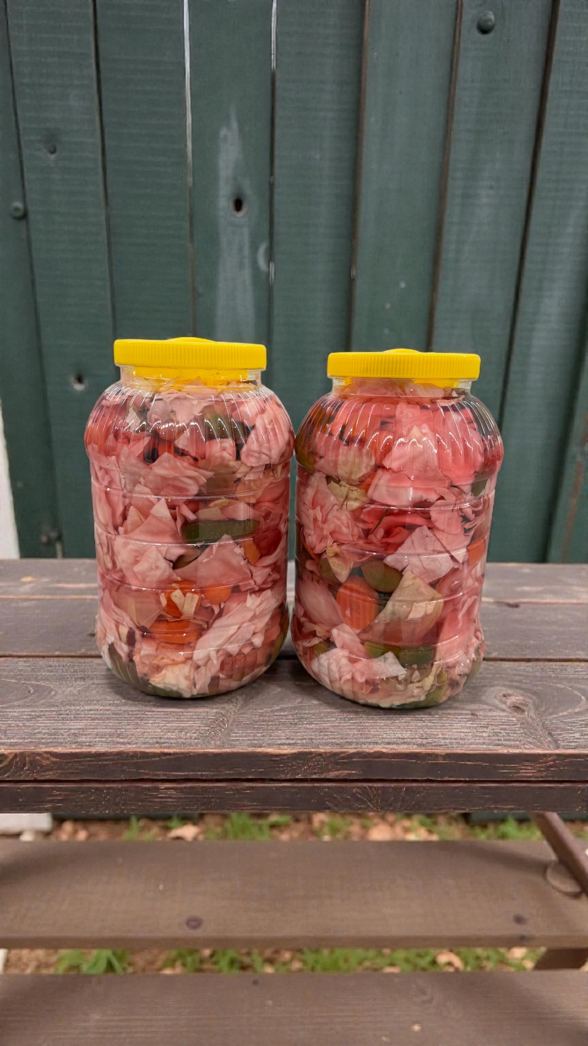 KARIŞIK LAHANA TURŞUSU 2 Lİ PAKET
