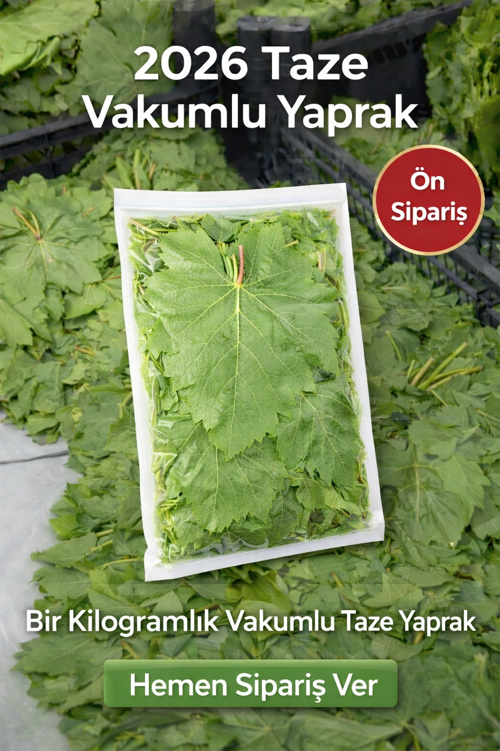 Taze Asma Yaprak Vakumlu 1 kg