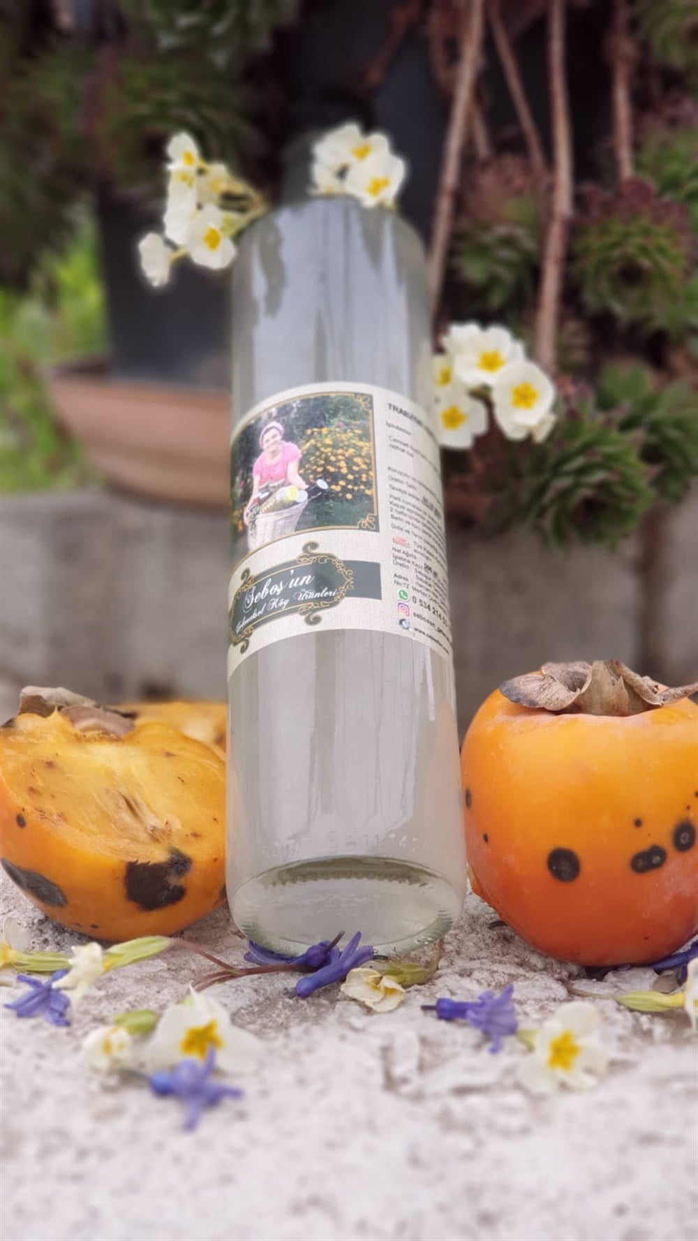 TRABZON HURMASI SİRKESİ