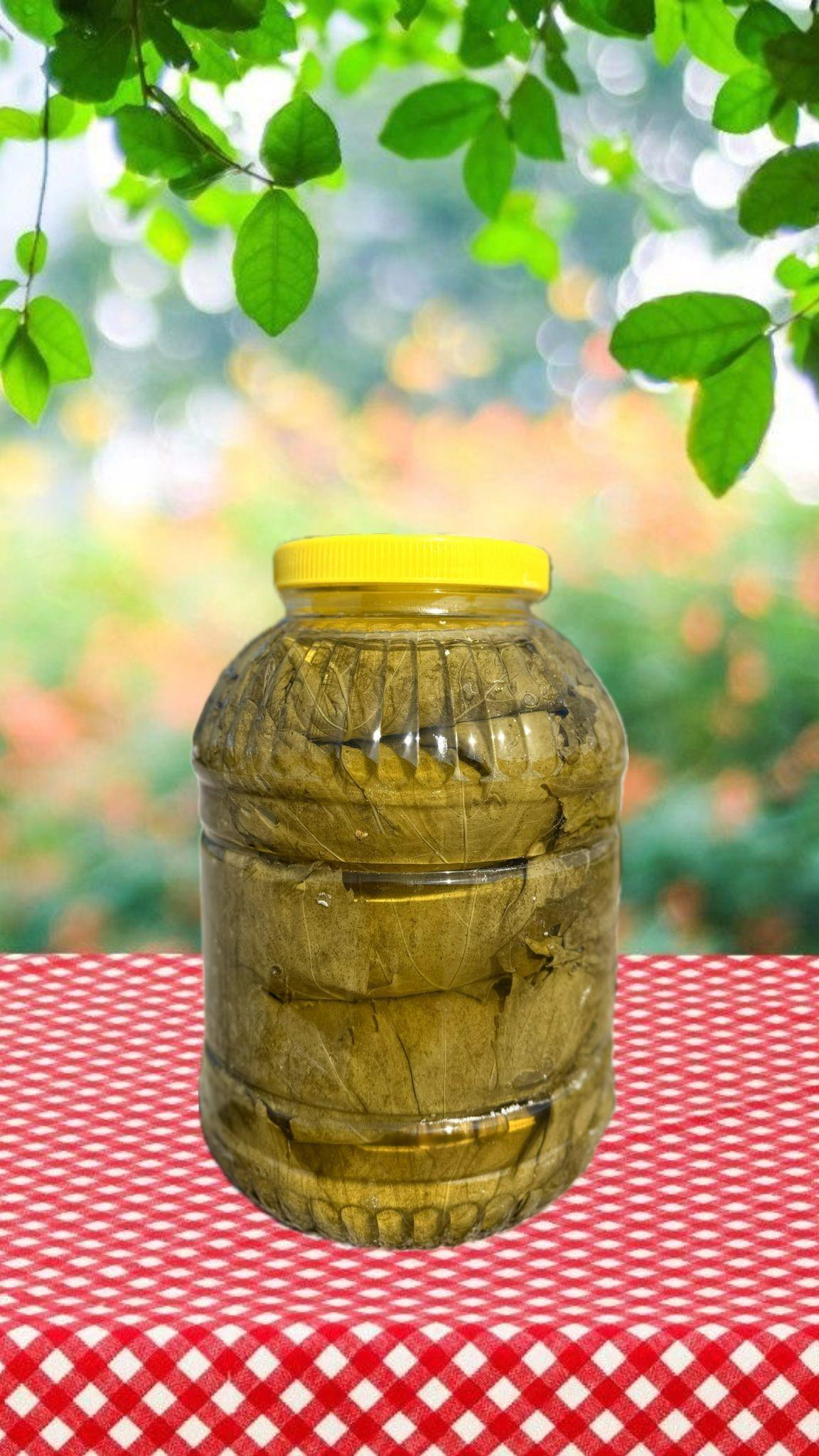 2025 SALAMURA SULTANİYE ÇEKİRDEKSİZ ÜZÜM YAPRAĞI(4,5kg bidon-Net 3