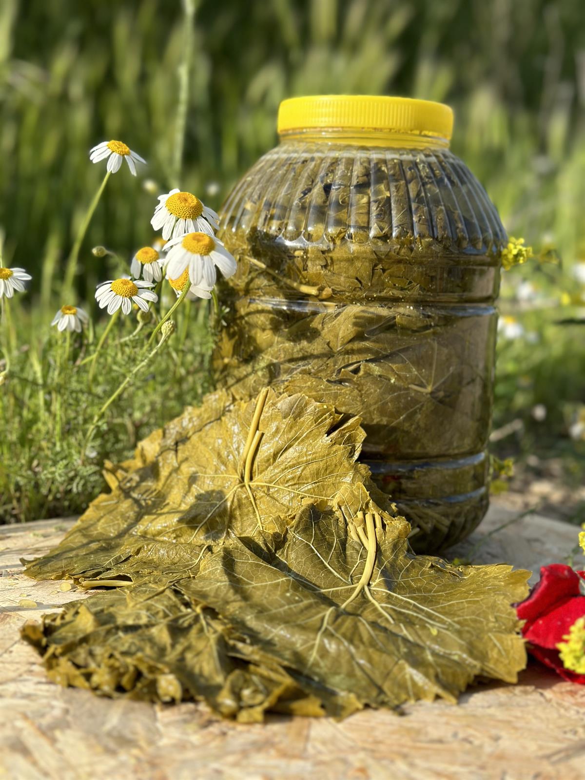 salamura-sultaniye-cekirdeksiz