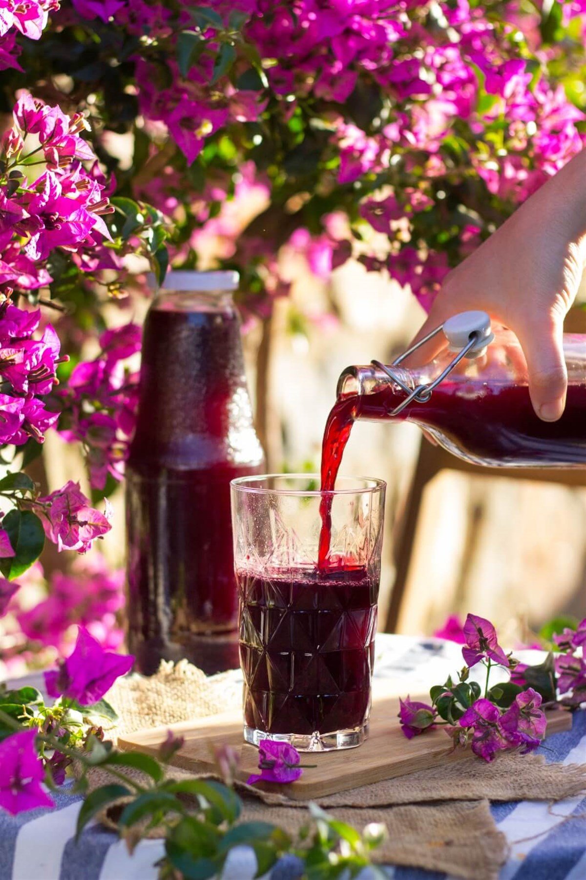 VİŞNE SUYU KONSANTRE