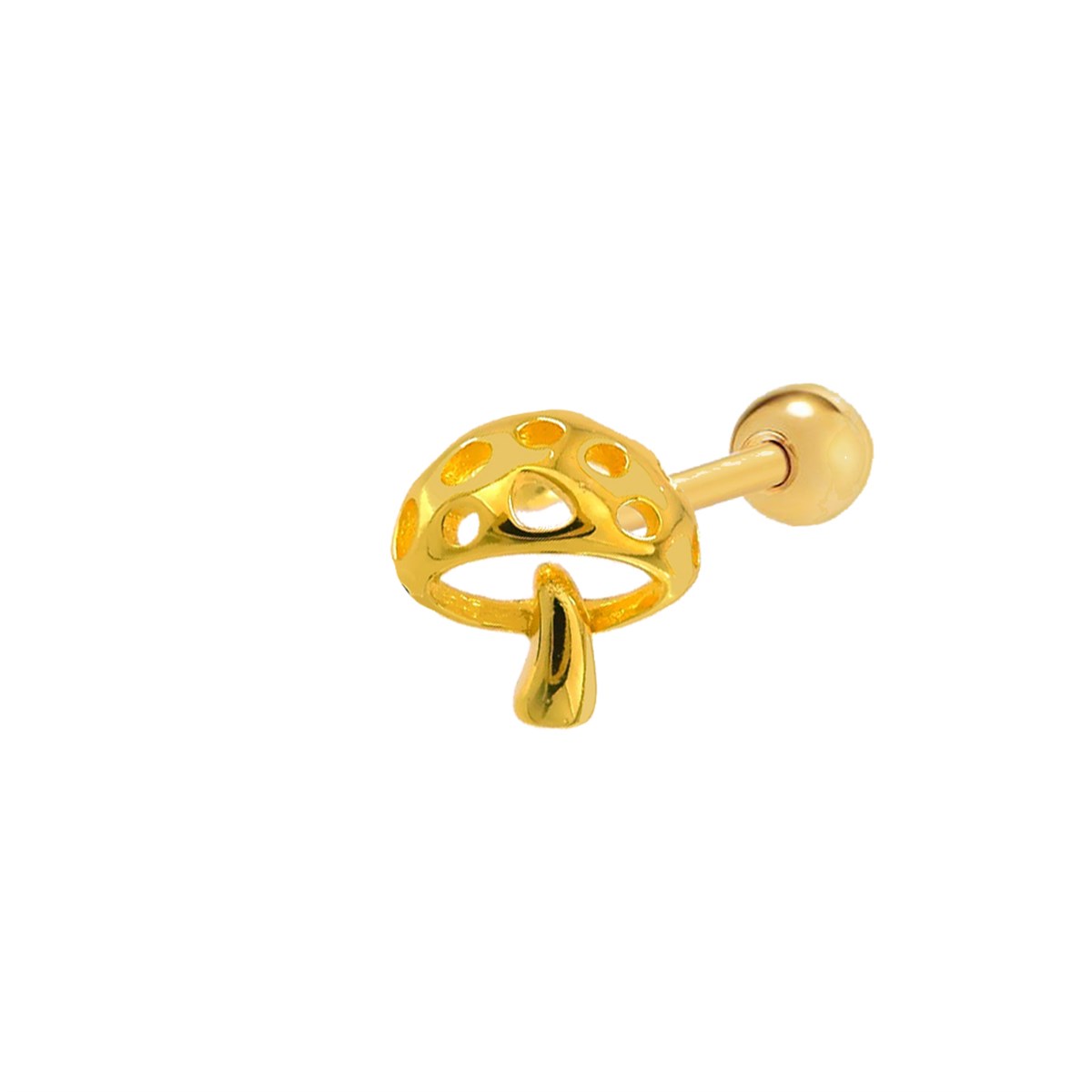 MANTAR TRAGUS