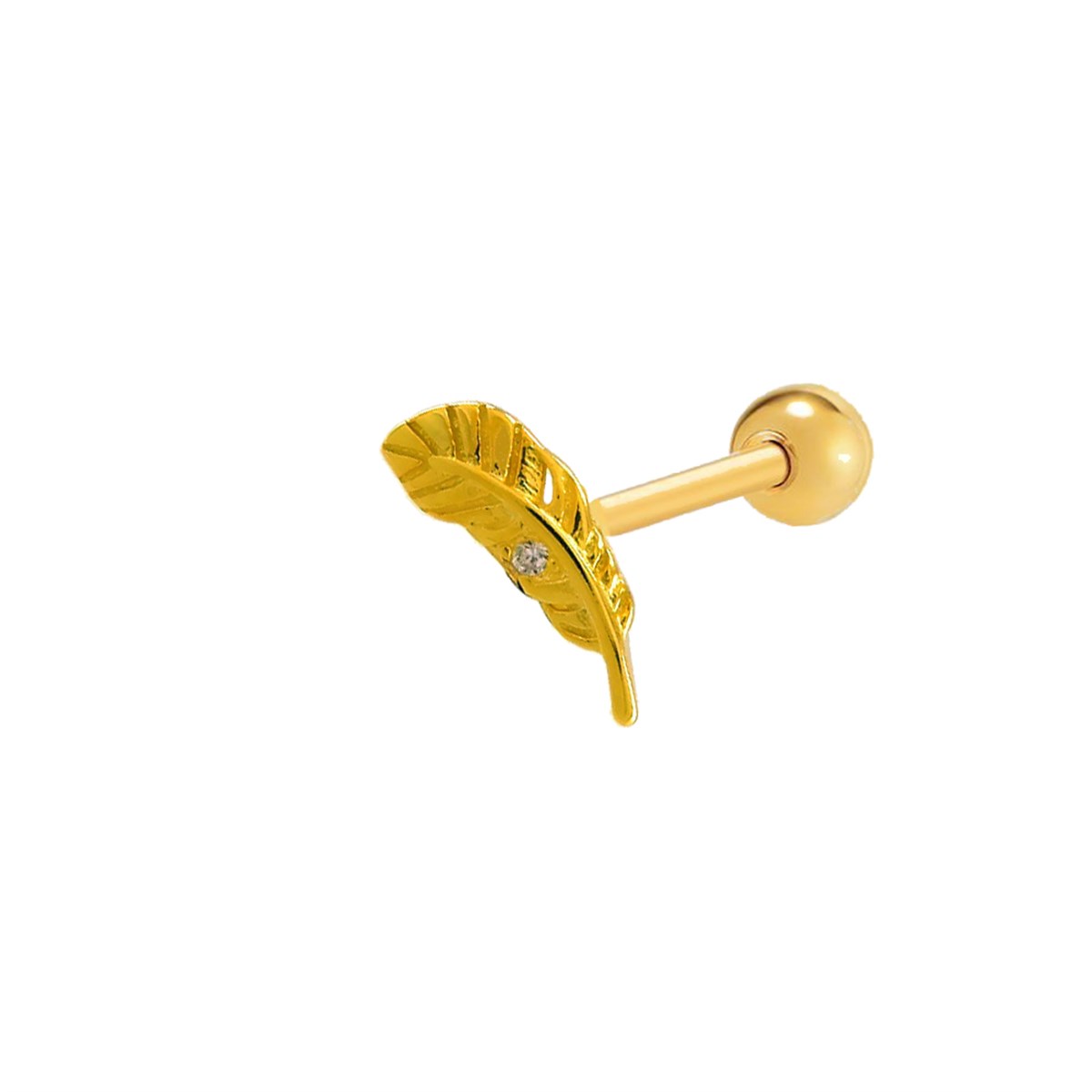 TAŞLI TÜY  TRAGUS
