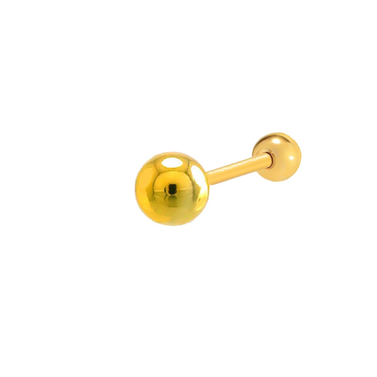 TOP  TRAGUS