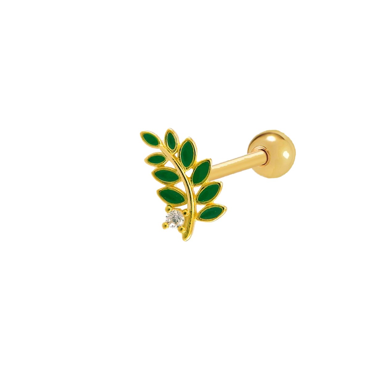 YAPRAK TRAGUS