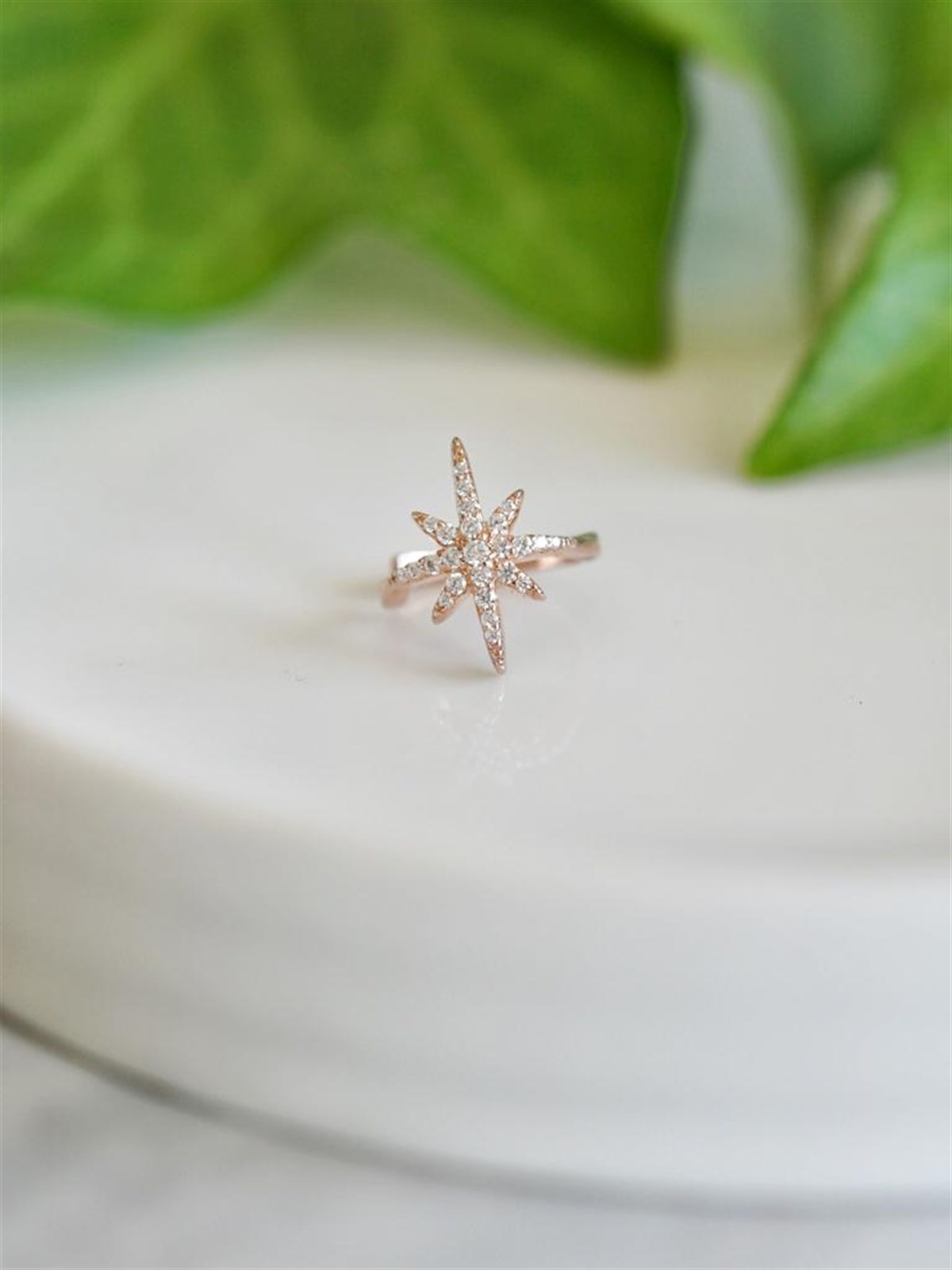 Kutup Yıldızı Kıkırdak Küpe