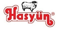 Hasyün