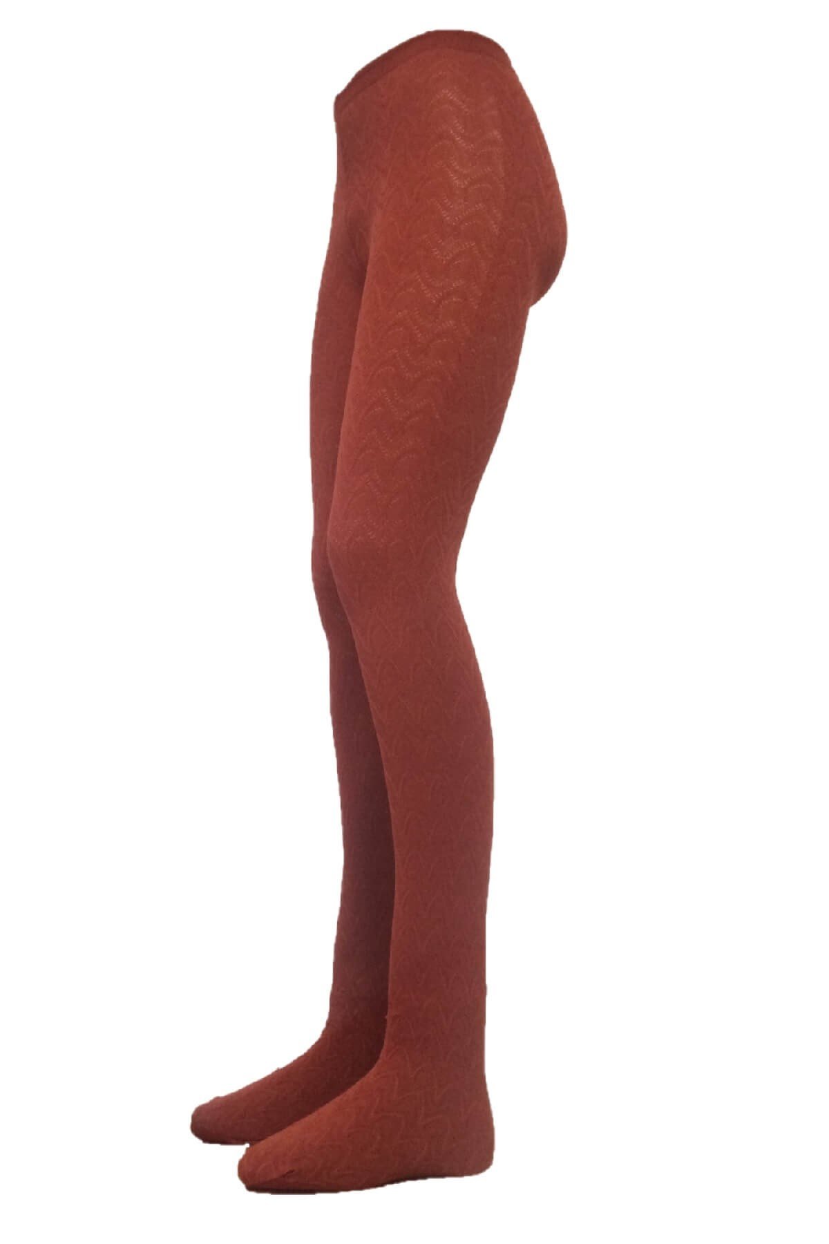 Sisi Nizza Tarçın Kaçmayan ( Ekstra Dayanıklı ) Kalın Külotlu Çorap