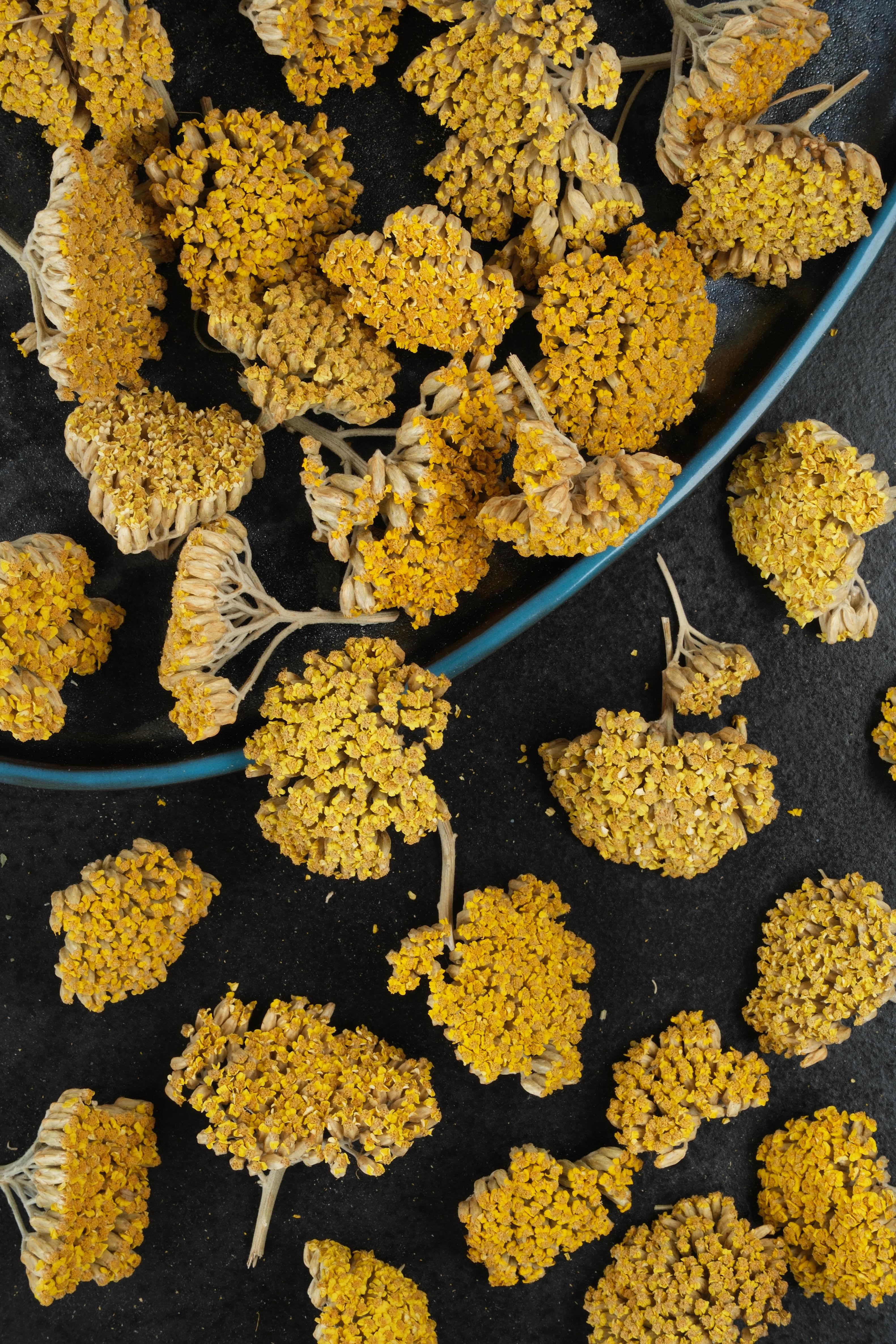 Civanperçemi Çayı