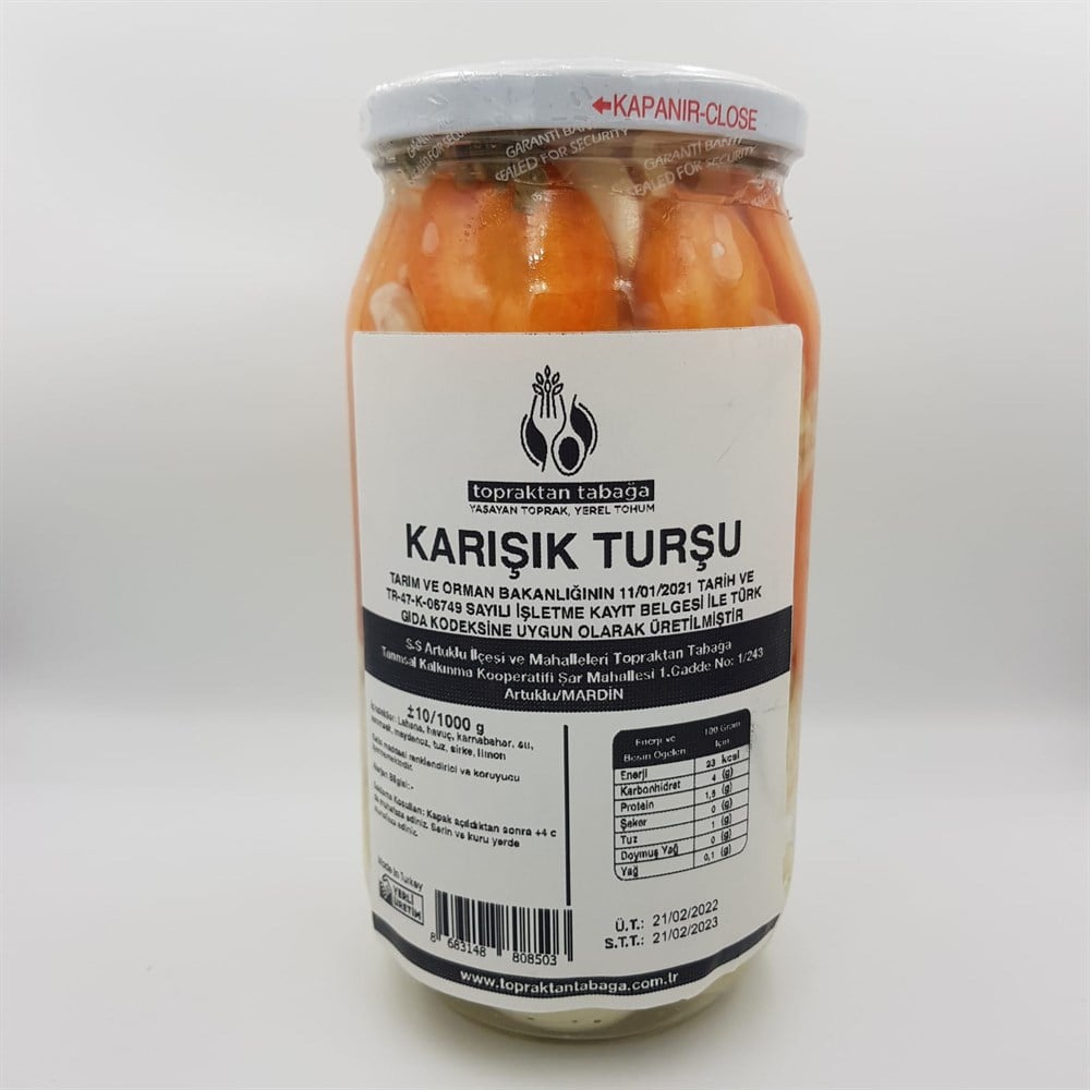 KARIŞIK TURŞU