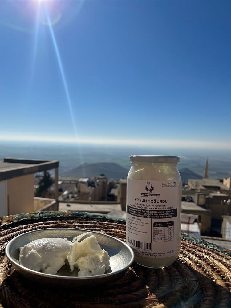 Koyun Yoğurdu