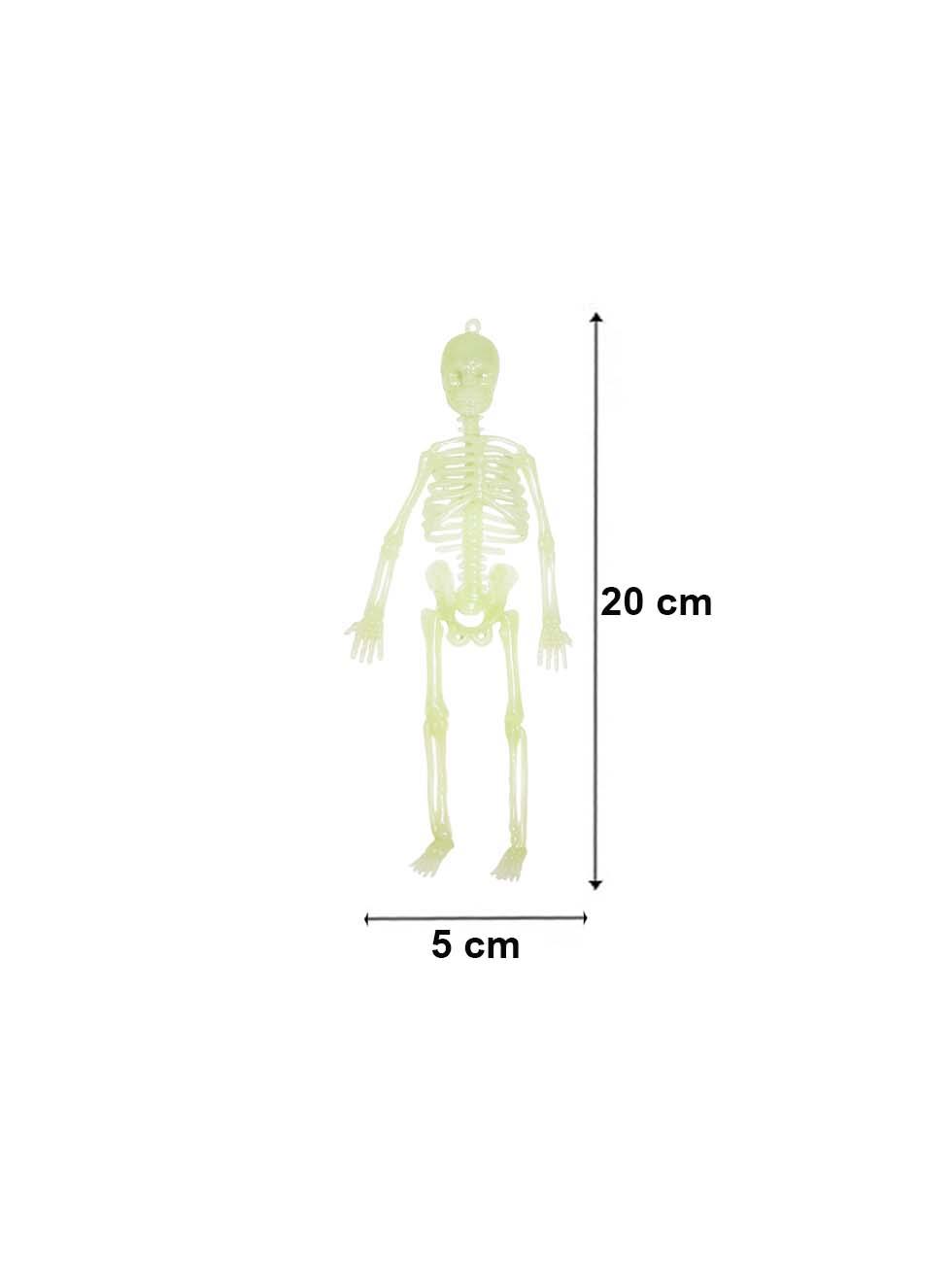 Cadılar Bayramı Fosforlu İskelet  Asılabilir Halloween Parti Dekoru 20 cm