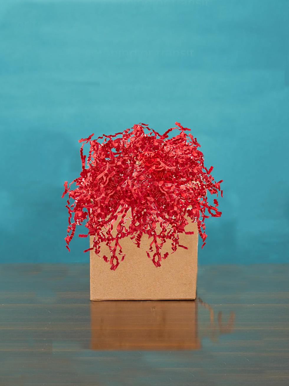 Kırmızı Kırpıntı Kağıt 25 Gr.