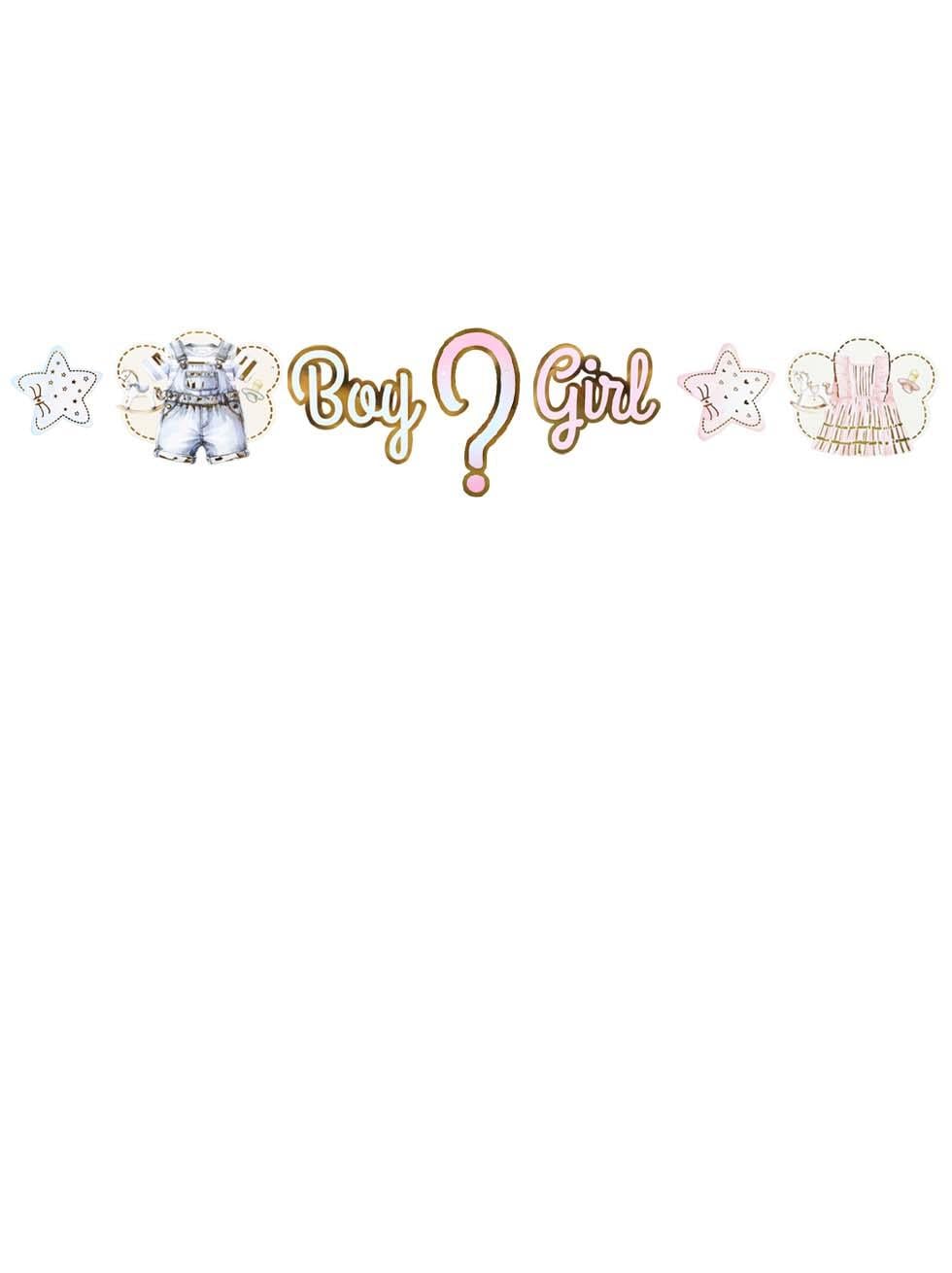 Boy or Girl Cinsiyet Belirleme Partisi Banner Süsü