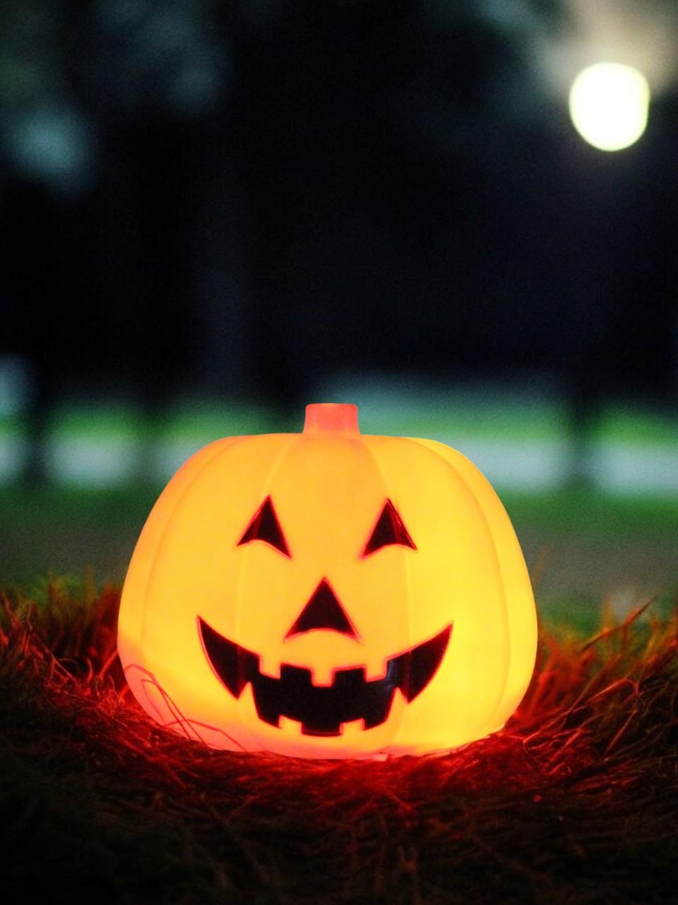 Cadılar Bayramı Işıklı Sesli Balkabağı Halloween Parti Dekorasyonu 35 cm