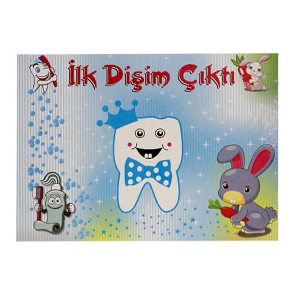 İlk Dişim Çıktı Mavi-Pembe Amerikan Servis