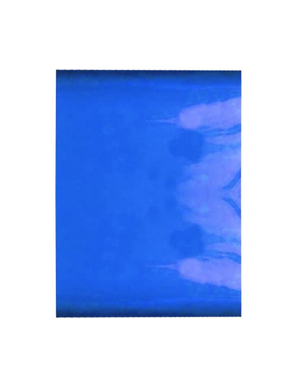 Renkli Jelatin Mavi 90X100 Cm