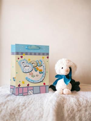 Hoş Geldin Bebek Baby Shower Boy Bebek Karton Hediye Çantası 24x18x8 Cm 